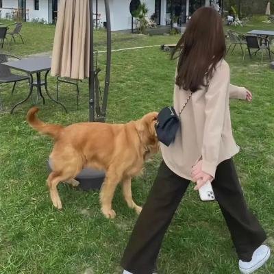 蜂蜜与四叶草第一季